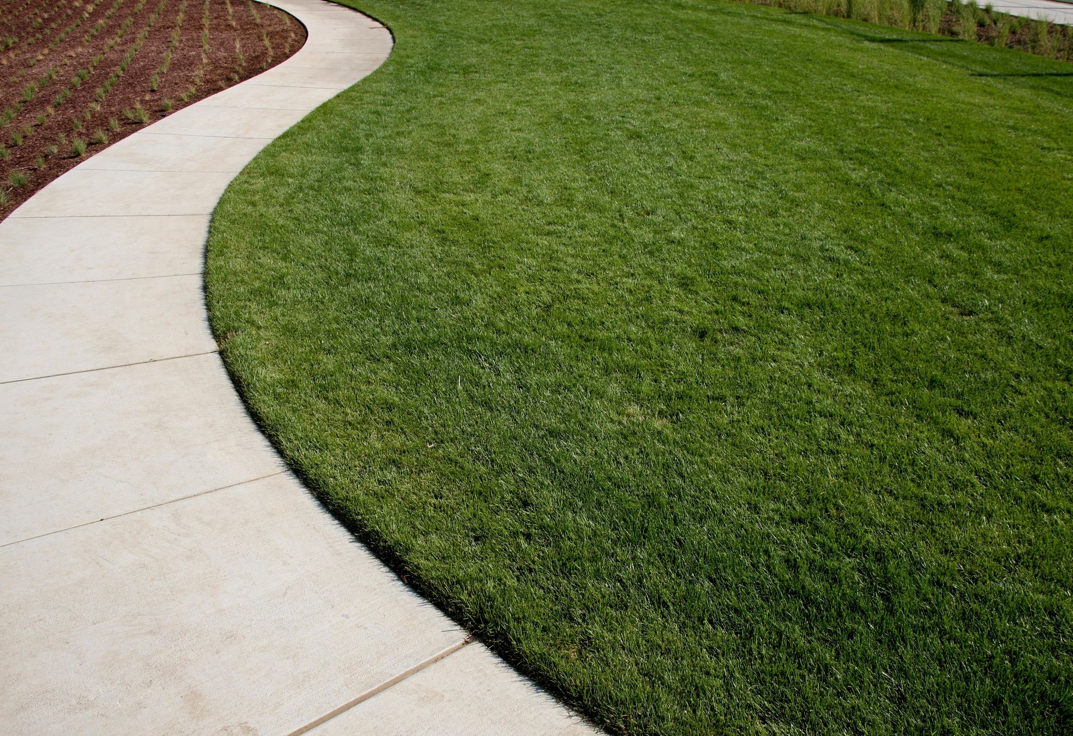 TZone Herbicide in Elk River, MN